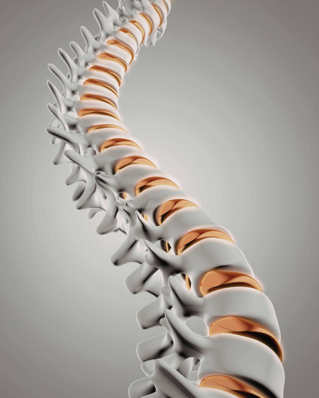 Discoidectomía lumbar precio